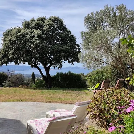 Feriehus In With Swimming Pool Lumio (Corsica)