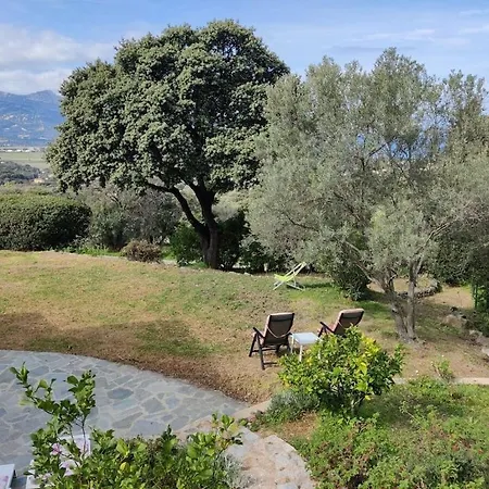 In With Swimming Pool