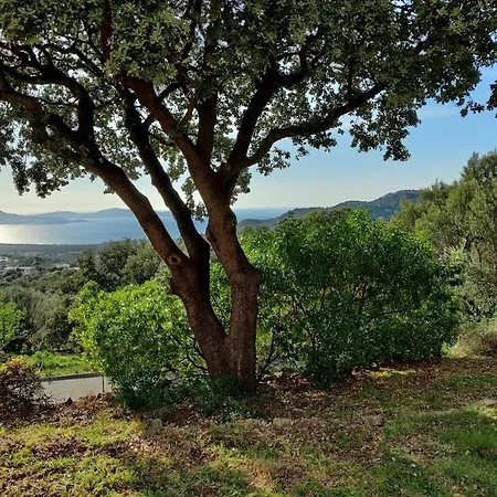 In With Swimming Pool Feriehus Lumio (Corsica)