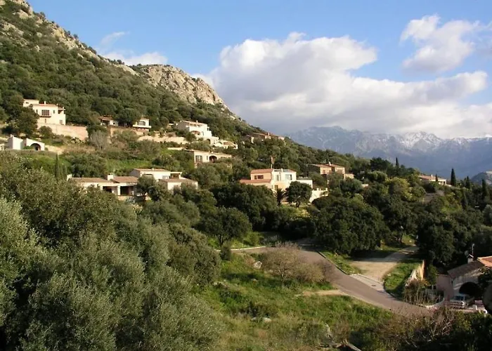 In With Swimming Pool *