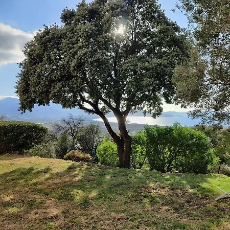 In With Swimming Pool *