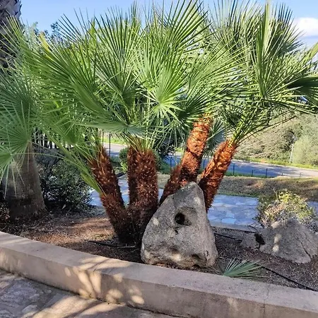 In With Swimming Pool