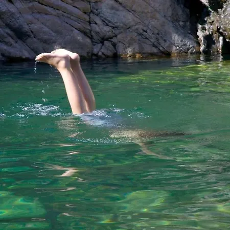 In With Swimming Pool * Lumio (Corsica)