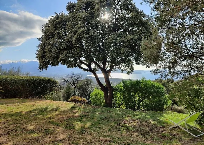 In With Swimming Pool *