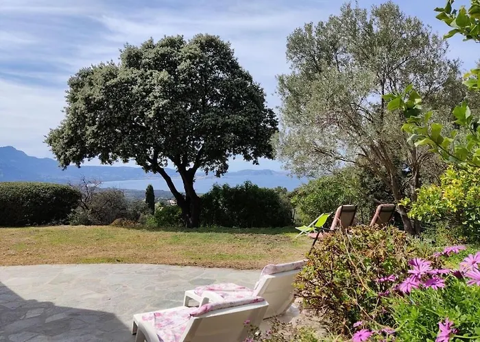 Casa vacanze In With Swimming Pool Lumio (Corsica)