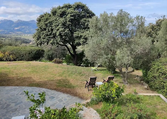 In With Swimming Pool