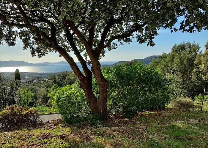 In With Swimming Pool Casa vacanze Lumio (Corsica)