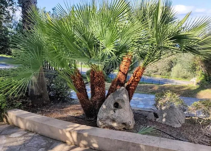 In With Swimming Pool