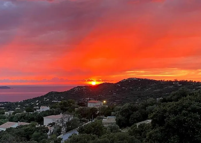 In With Swimming Pool *