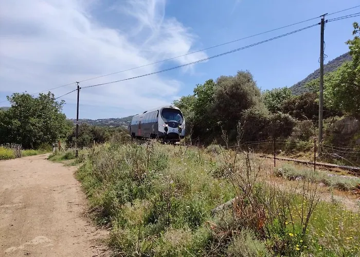 In With Swimming Pool